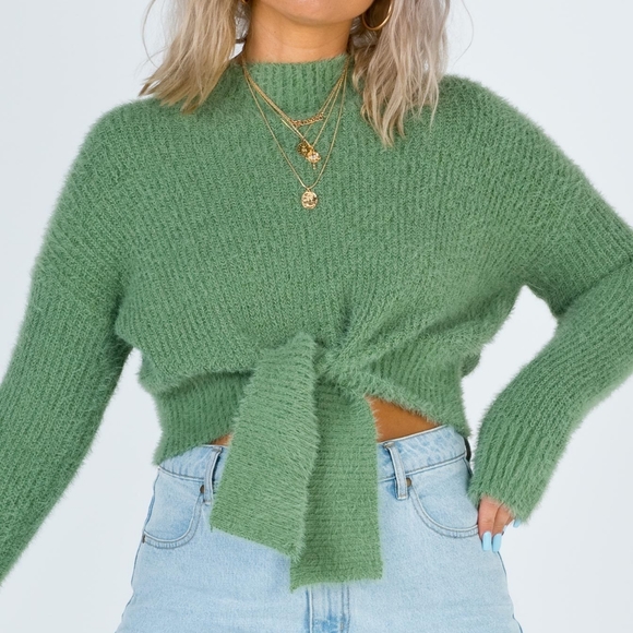 Princess Polly Sweaters - NWT Princess Polly Winslow Cropped Jumper Sweater